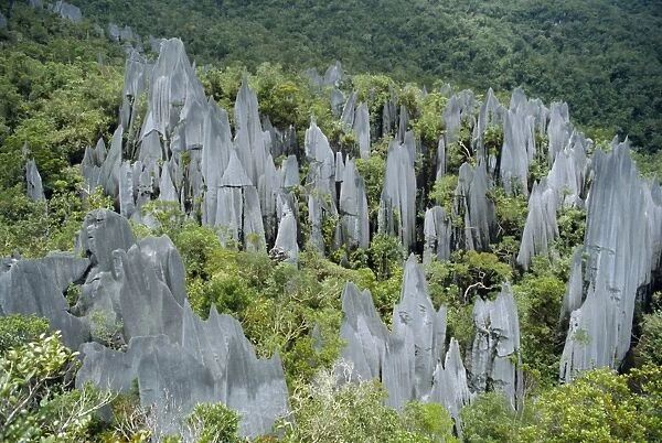 Limestone pinnacles on Mount Api