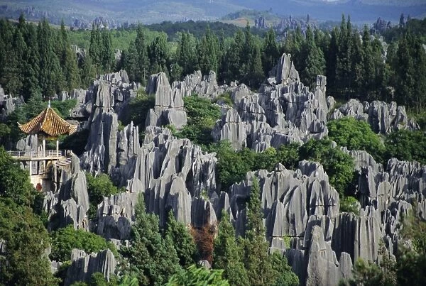 Limestone pinnacles in Shilin, Stone Forest, at Lunan, Yunnan, China