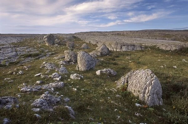 Limestone plateau