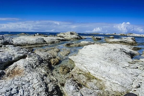 Limestone rocks in the clear waters of Kaikoura Peninsula, South Island, New Zealand, Pacific
