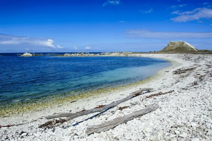 Framed Print : Limestone rocky beach on the clear waters of Kaikoura Peninsula, South Island, New Zealand, Pacific Framed Print : Limestone rocky beach on the clear waters of Kaikoura Peninsula, South Island, New Zealand, Pacific