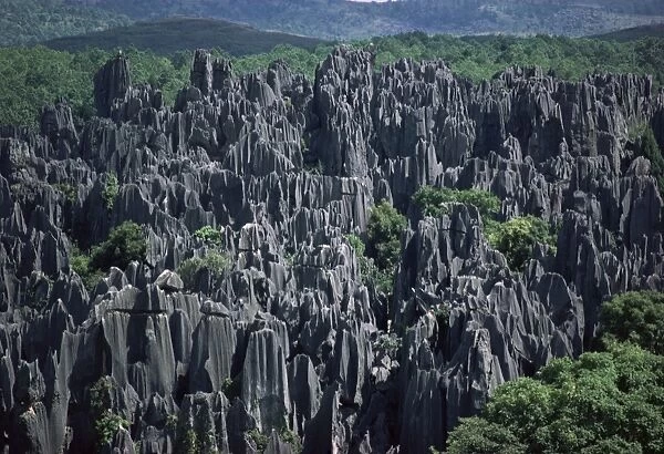 Limestone Stone Forest, near Kunming, Yunnan province, China, Asia