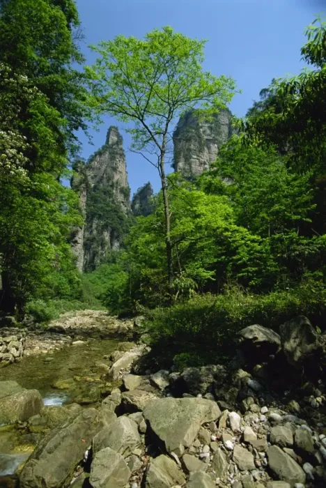 Framed Print : Limestones rock formations in forested valley, Hunan Province, China, Asia Framed Print : Limestones rock formations in forested valley, Hunan Province, China, Asia