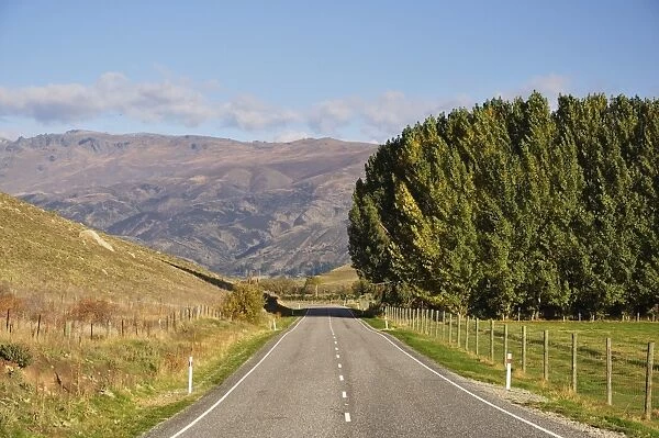 Lindis Pass to Tarras Road, near Tarras, Otago, South Island, New Zealand, Pacific