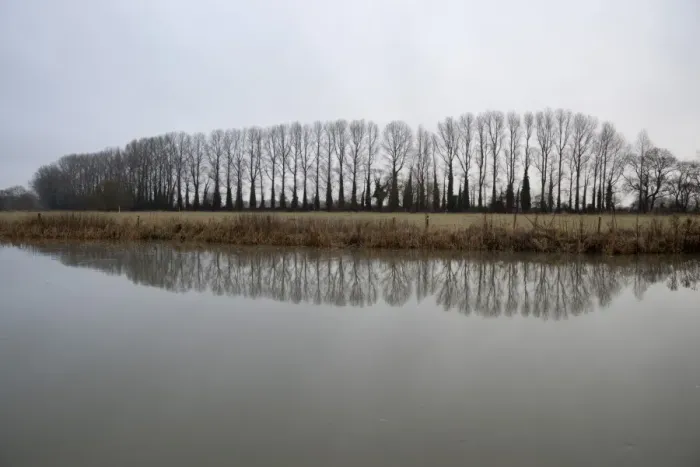 Framed Print : Line of bare trees reflected in River Thames, Lechlade, Cotswolds, Gloucestershire Framed Print : Line of bare trees reflected in River Thames, Lechlade, Cotswolds, Gloucestershire