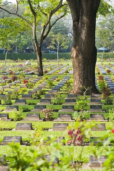 Lines of thousands of graves among trees at Kanchanaburi War Cemetery, Thailand, Southeast Asia, Asia