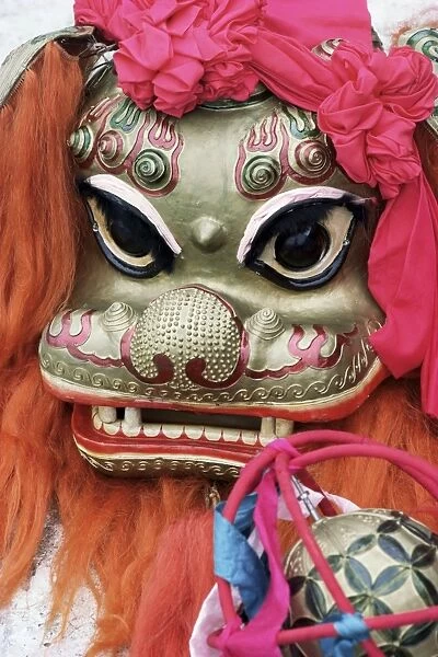 Lion mask, festival