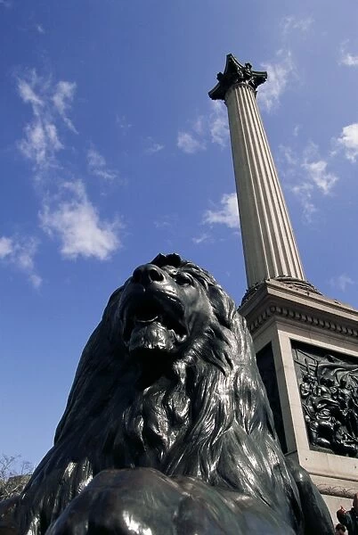 Lion statue below Nelsons Column, Trafalgar Square, London, England