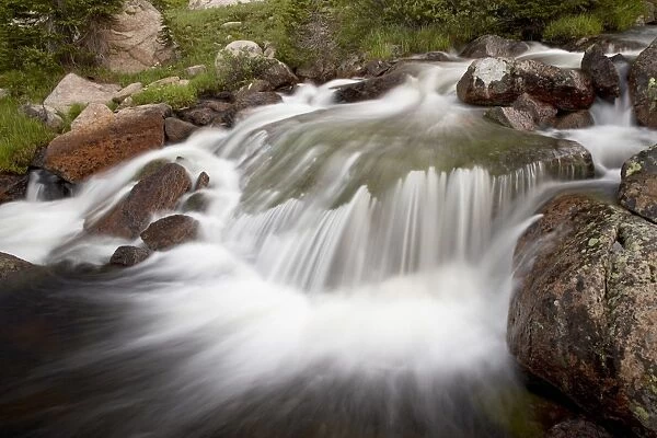 Little Bear Creek Cascade, Shoshone National Forest, Wyoming, United States of America