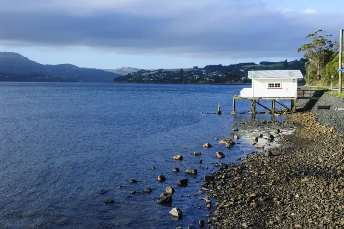 Framed Print : Little fishing cottage on a rocky beach, Otago Peninsula, Otago, South Island, New Zealand, Pacific Framed Print : Little fishing cottage on a rocky beach, Otago Peninsula, Otago, South Island, New Zealand, Pacific
