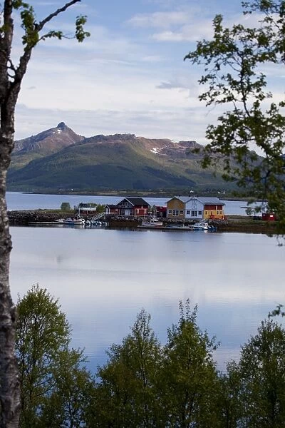 Little harbour in a fjord close to Sortland village, Langoya island, Vesteralen archipelago