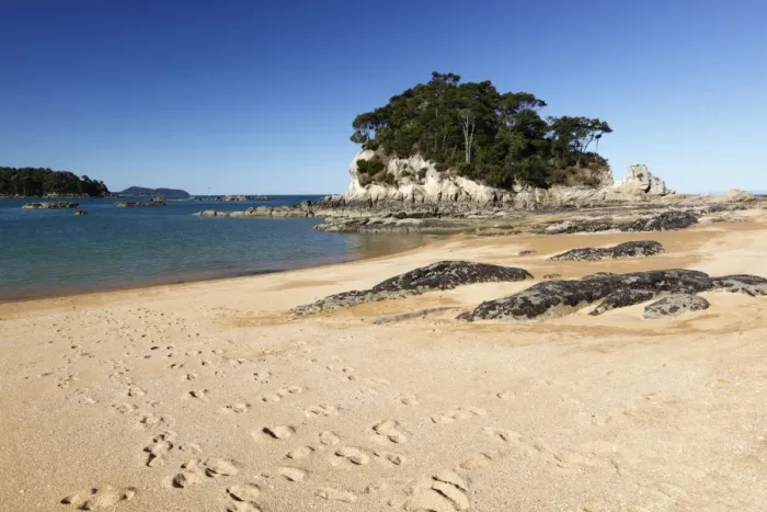 Framed Print : Little Kaiteriteri beach, Little Kaiteriteri, Nelson region, South Island, New Zealand, Pacific Framed Print : Little Kaiteriteri beach, Little Kaiteriteri, Nelson region, South Island, New Zealand, Pacific