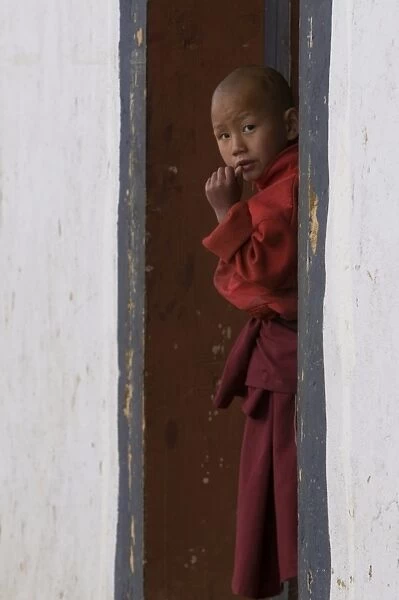 Little monk curiously looking around the corner in the Gangte Goempa, Bhutan, Asia