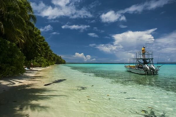 Little motor boat in the turquoise waters of the Ant Atoll, Pohnpei, Micronesia, Pacific