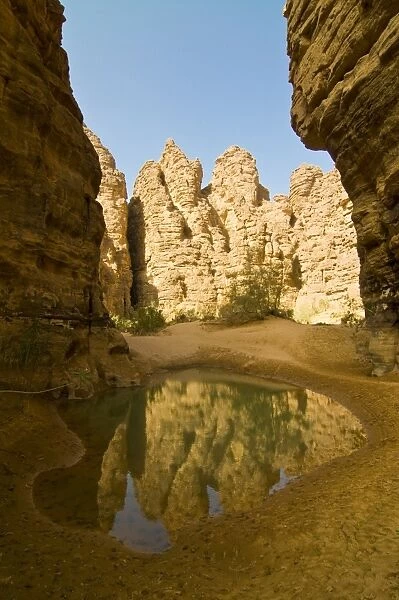 Little pool in the Essendilene Gorge, near Djanet, Southern Algeria, North Africa, Africa