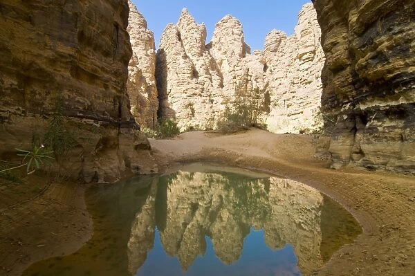 Little pool in the Essendilene Gorge, near Djanet, Southern Algeria, North Africa, Africa