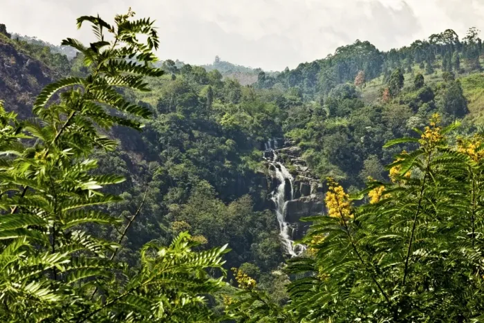 Framed Print : Little Rawana (Ravana) Falls en route to Ella Rock, the upper level of the popular falls in Ella Gap below, Ella, Sri Framed Print : Little Rawana (Ravana) Falls en route to Ella Rock, the upper level of the popular falls in Ella Gap below, Ella, Sri