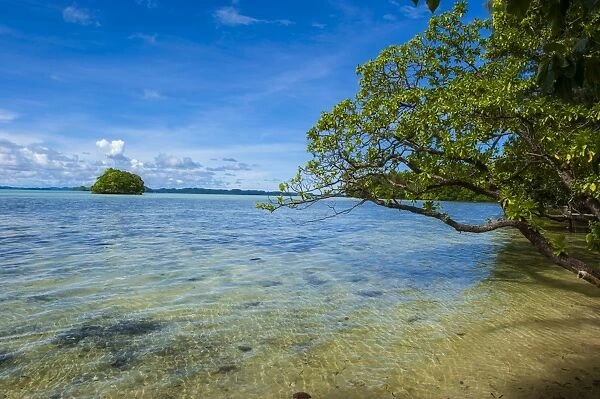 Little rock islet in the famous Rock islands, Palau, Central Pacific, Pacific