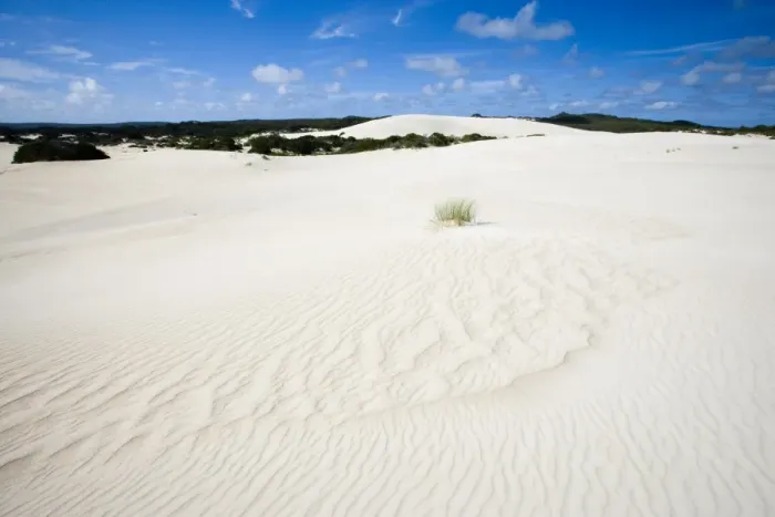 Framed Print : Little Sahara, Kangaroo Island, South Australia, Australia, Pacific Framed Print : Little Sahara, Kangaroo Island, South Australia, Australia, Pacific