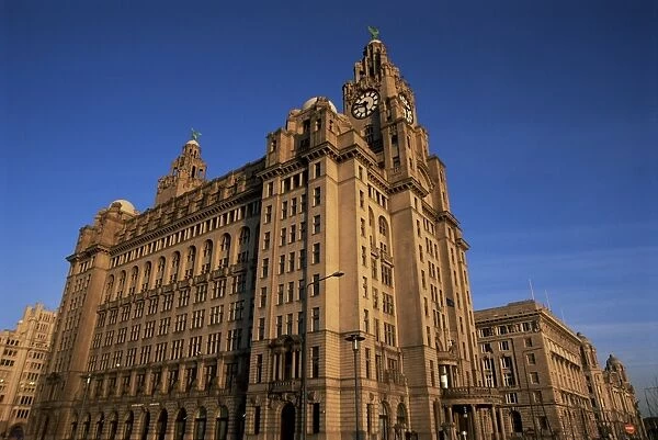 Liver Building, Liverpool, Merseyside, England, United Kingdom, Europe