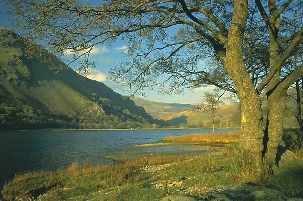 Llyn Gwynant (Lake Gwynant)