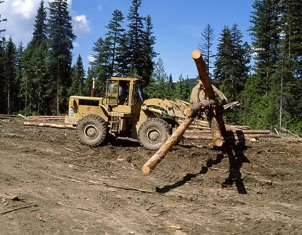 Loading logs, British Columbia, Canada, North America
