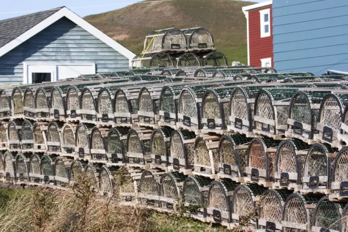 Framed Print : Lobster traps on Ile du Havre-aux-Maisons, Iles de la Madeleine (Magdalen Islands) Framed Print : Lobster traps on Ile du Havre-aux-Maisons, Iles de la Madeleine (Magdalen Islands)