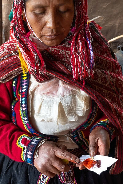 Local female weaver mixing cochineal dye from insects, the definitive red used, Chumbe