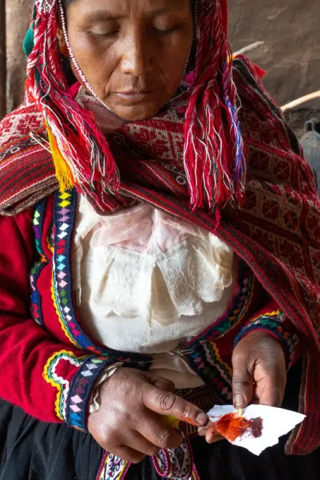 Framed Print : Local female weaver mixing cochineal dye from insects, the definitive red used, Chumbe