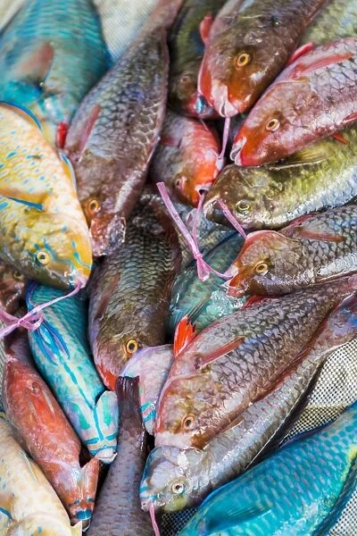 Local fish market, Praslin, Republic of Seychelles, Indian Ocean, Africa