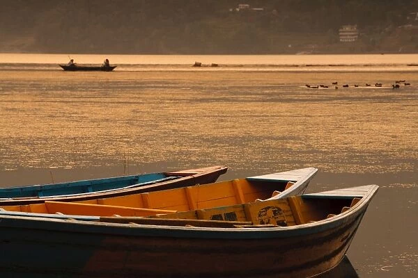 Local fishing boats on Phewa Lake at sunset, Gandak, Nepal, Asia