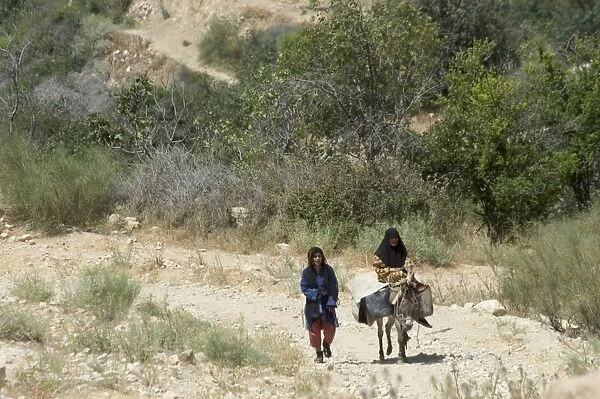 Local women on donkey
