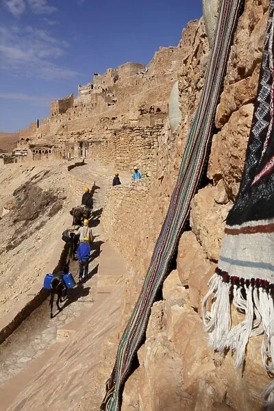 Local workers using donkeys at hillside Berber village of Chenini, Tunisia