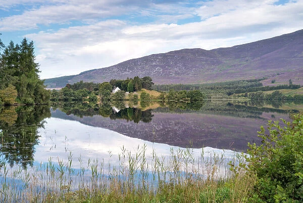 Loch Alvie, Strathspey and Badenoch, Cairngorms, Highland, Scotland, United Kingdom