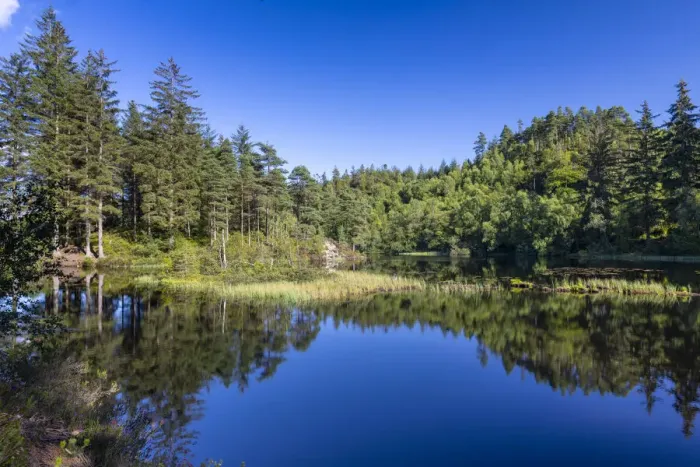 Framed Print : Loch Ard, Loch Lomond and Trossachs National Park, Scotland, United Kingdom, Europe