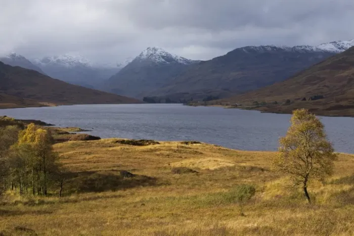 Framed Print : Loch Arklet in autumn, Trossachs, Stirlingshire, Scotland, United Kingdom, Europe Framed Print : Loch Arklet in autumn, Trossachs, Stirlingshire, Scotland, United Kingdom, Europe