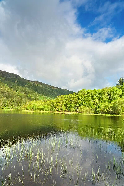 Loch Chon, Loch Lomond and The Trossachs National Park, Scottish Highlands, Scotland, United Kingdom, Europe