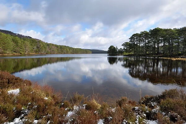 Loch an Eilein, near Aviemore, Cairngorms National Park, Highlands, Scotland