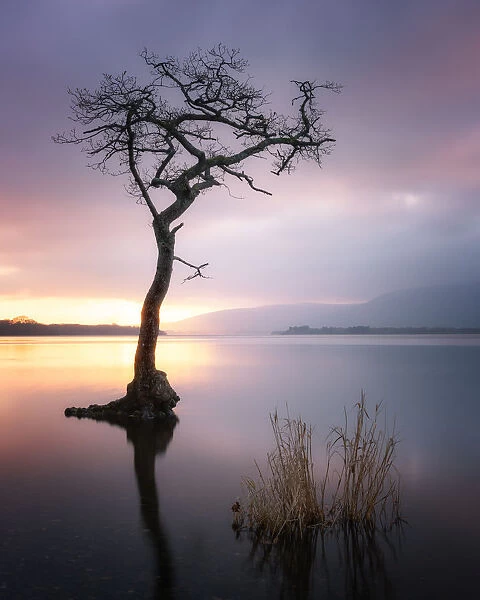 Loch Lomond at Sunset, Scotland, UK