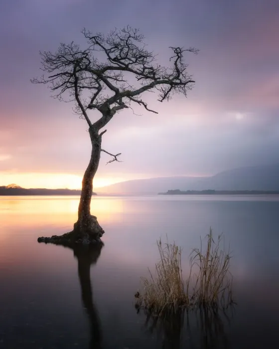 Framed Print : Loch Lomond at Sunset, Scotland, UK Framed Print : Loch Lomond at Sunset, Scotland, UK