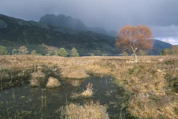 Framed Print : Loch Maree Framed Print : Loch Maree