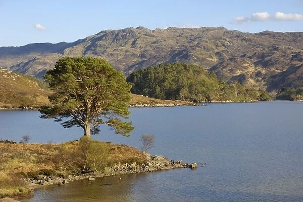 Loch Morar, Highlands, Scotland, United Kingdom, Europe