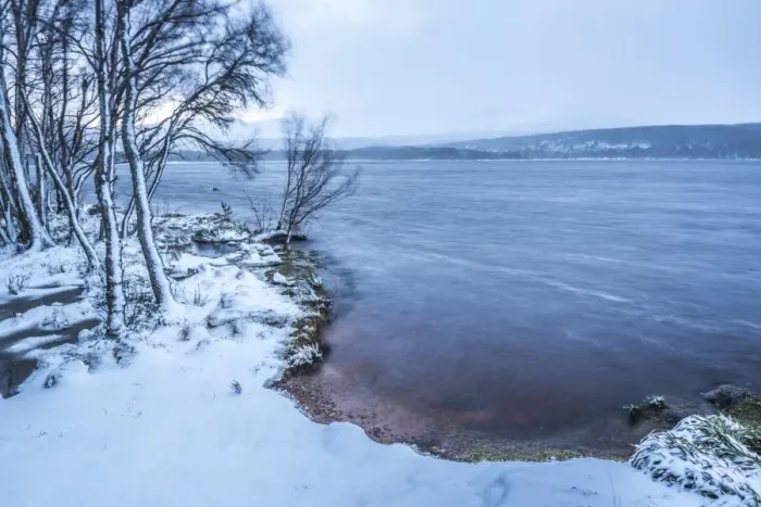Framed Print : Loch Morlich in snow in winter, Glenmore, Cairngorms National Park, Scotland, United Kingdom Framed Print : Loch Morlich in snow in winter, Glenmore, Cairngorms National Park, Scotland, United Kingdom