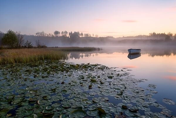 Loch Rusky, Perthshire, Scotland, United Kingdom, Europe