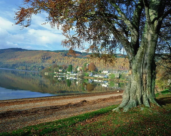 Loch Tay, Kenmore, Tayside, Highlands, Scotland, United Kingdom, Europe