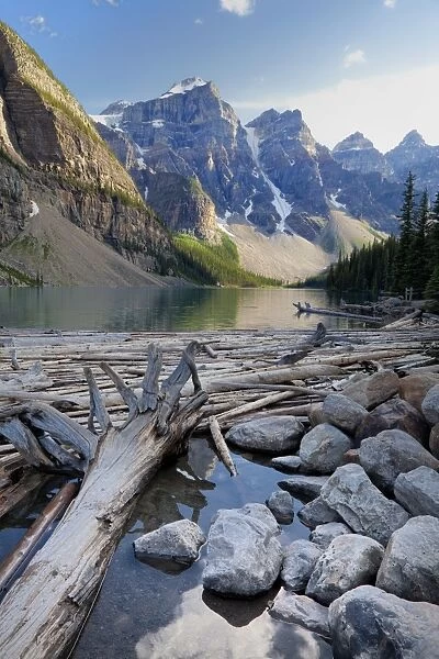 Log jam on Moraine Lake, Banff National Park, UNESCO World Heritage Site