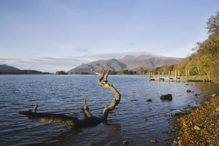 Framed Print : Log in water near Barrow Bay landing on Derwent Water, looking north to Skiddaw in autumn Framed Print : Log in water near Barrow Bay landing on Derwent Water, looking north to Skiddaw in autumn