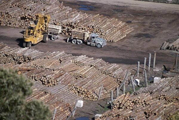 Logging plant at port