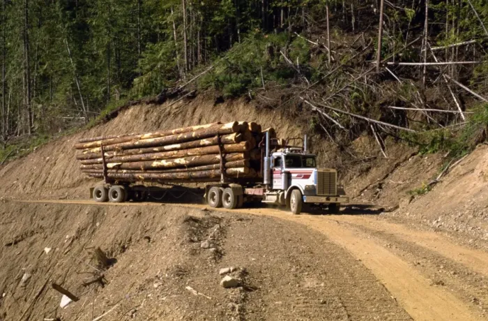 Framed Print : Logging truck, British Columbia, Canada, North America Framed Print : Logging truck, British Columbia, Canada, North America