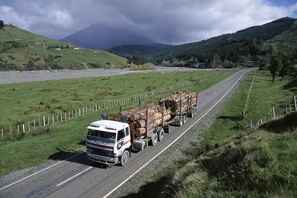 Logging trucks on the road near Gisborne